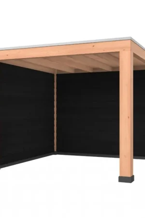 Douglas overkapping, 300 x 300, met achterwand en zijwand, Westwood Robuust zwart Goedkoop